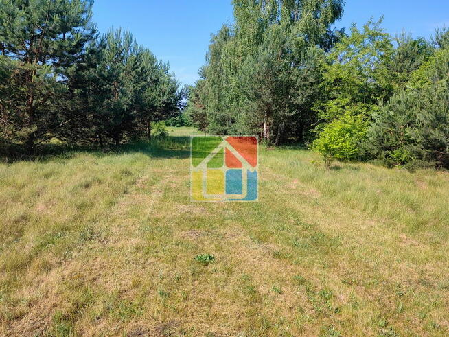 Działka do zabudowy pod Gostyninem