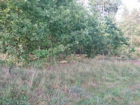 SUPER PROMOCJA !Działka na Szlaku Wielkich Jezior z KW