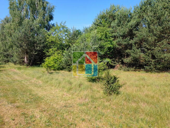 Działka do zabudowy pod Gostyninem