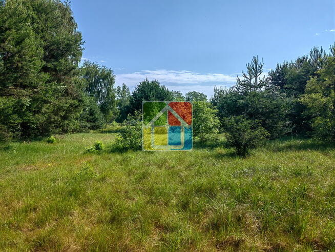 Działka do zabudowy pod Gostyninem