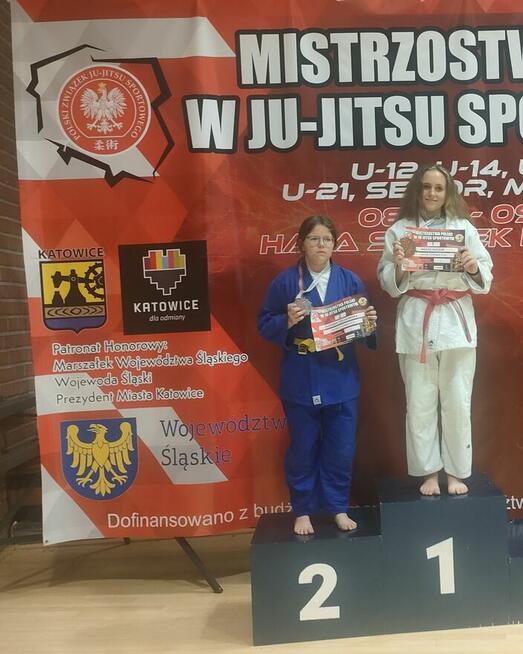 Jiu-Jitsu nowe postanowienie.