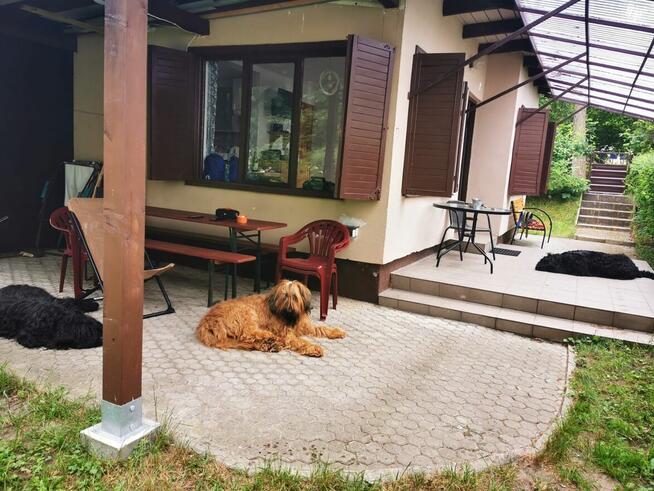 domek nad morzem Jarosławiec w 2026