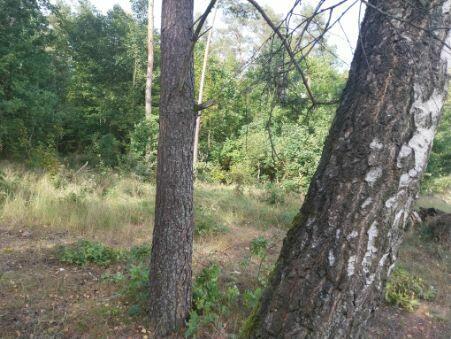 SUPER PROMOCJA !Działka na Szlaku Wielkich Jezior z KW