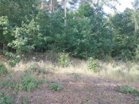 SUPER PROMOCJA !Działka na Szlaku Wielkich Jezior z KW