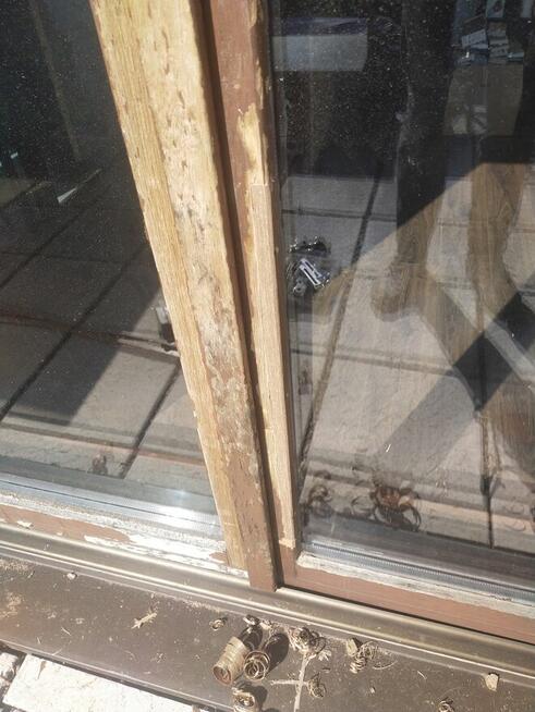 malowanie ,renowacja drzwi DREWNIANYCH