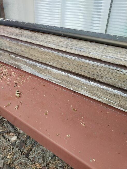 malowanie ,renowacja drzwi