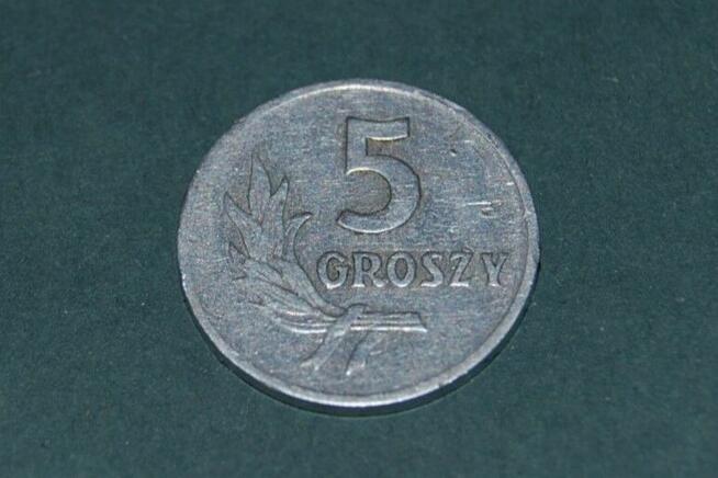 5 groszy 1959r BZ Moneta PRL Starocia