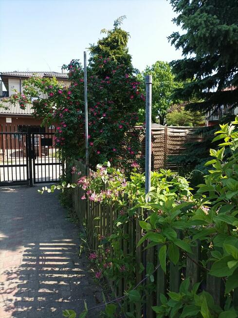 Sprzedam dom i warsztat samochodowy Pruszków