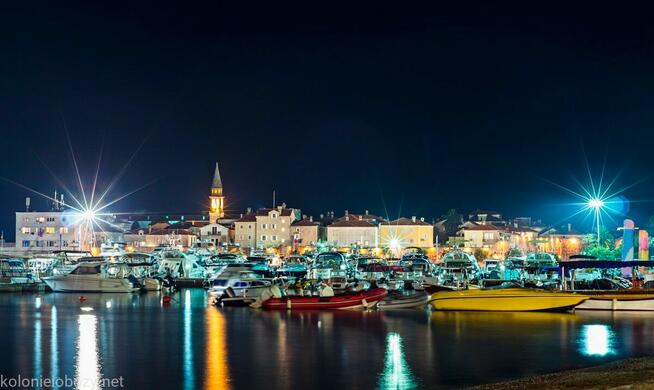 CZARNOGORA ALBANIA Chorwacja na 2026