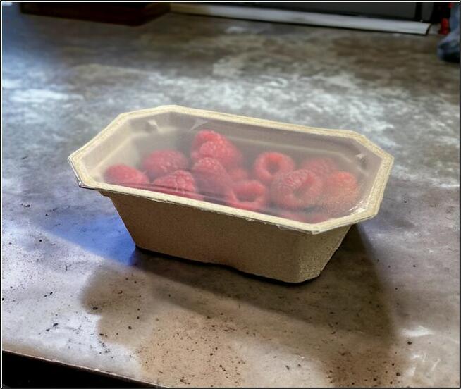 pojemniki z pulpy papierowej na maliny i borówki