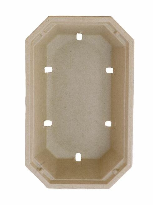 pojemniki z pulpy papierowej na maliny i borówki