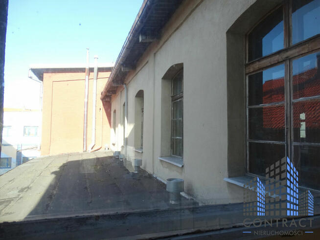 Lokal użytkowy Jawor,