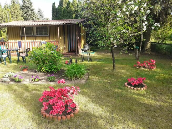 Sprzedam działkę ROD-Nowosolna