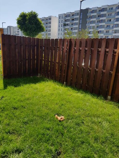 Bezpośrednio, bez prowizji, dwupokojowe mieszkanie z ogródki