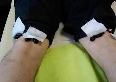 Pijawki lekarskie - Gabinet Hirudoterapii Lutomiersk