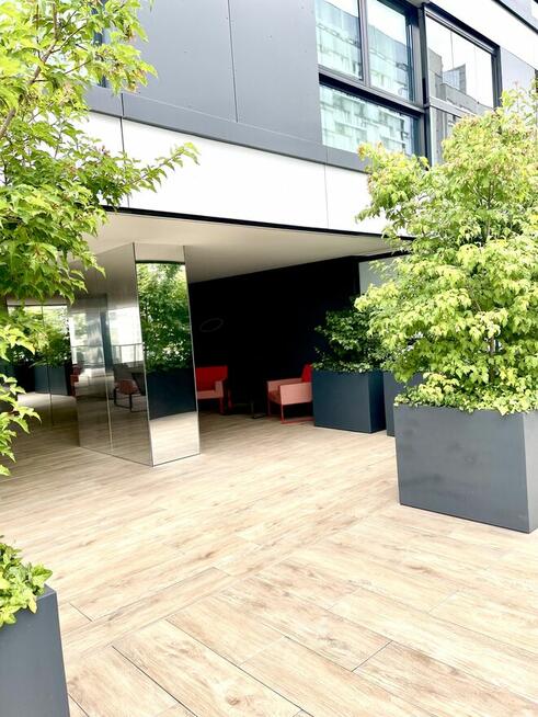 Mieszkanie LUX do wynajęcia Grzybowska 37 2 pokoje