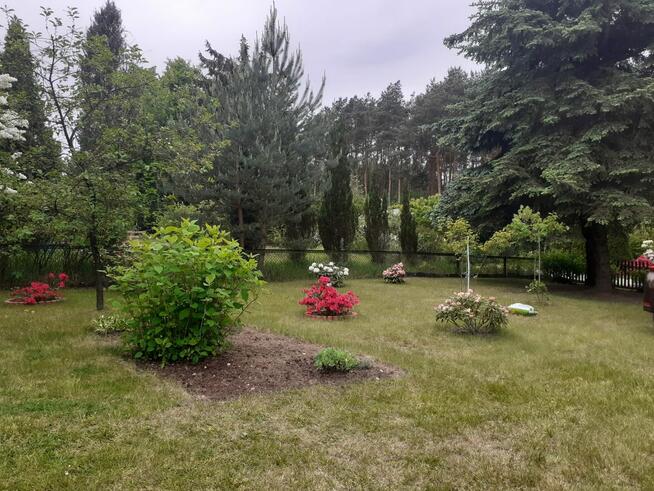 Sprzedam działkę ROD-Nowosolna