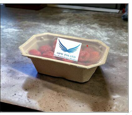 pojemniki z pulpy papierowej na maliny i borówki