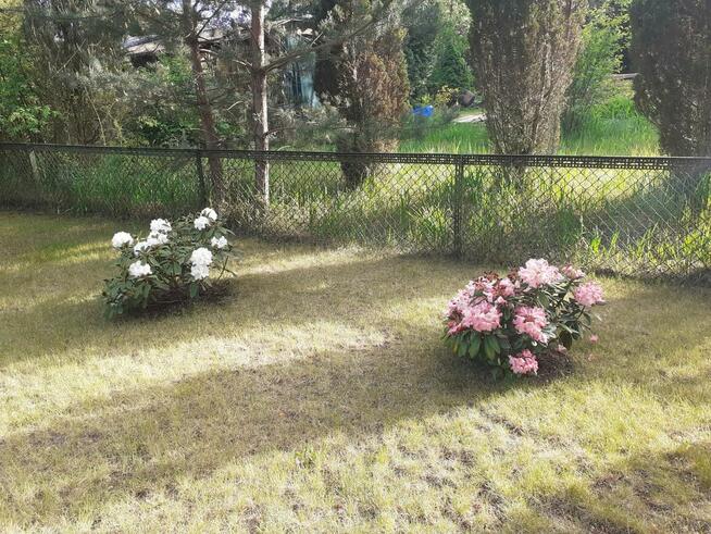 Sprzedam działkę ROD-Nowosolna