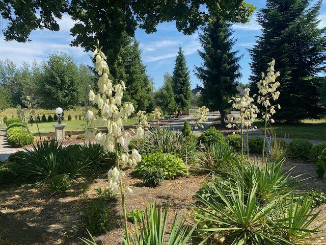 Ekskluzywna perełka z mnóstwem uroku nad Zalewem Szczeciński