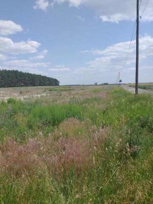 Działki o powierzchni 800 m2 Zacisze aktualne wzizt