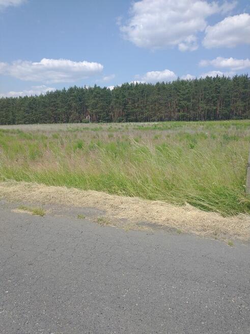 Działki o powierzchni 800 m2 Zacisze aktualne wzizt