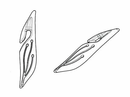 ROLETY MINI w KASECIE DZIEŃ NOC Producent Wysoka Jakość