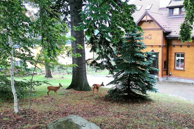 Działka inwestycyjna pod hotel, apartamenty w centrum Szklar