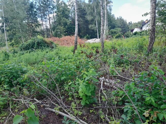 Sprzedam działkę budowlaną.Łazy koło Warszawy.Bezpośrednio