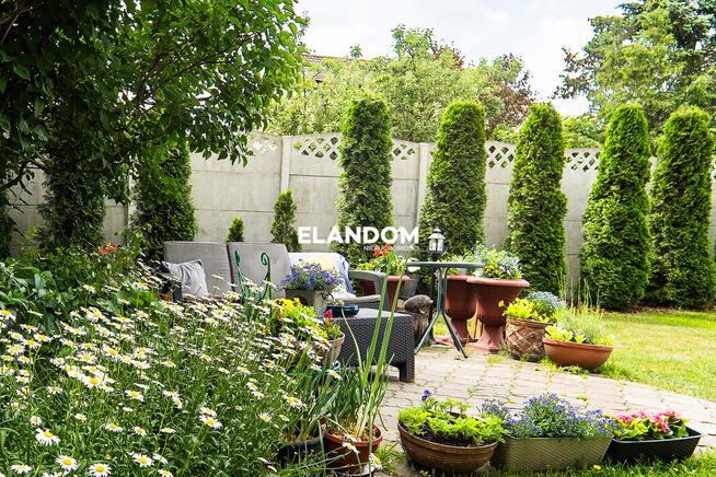 Dom Człekówka 8 pokoi