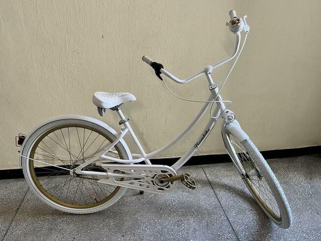 Rower Plumbike 28”