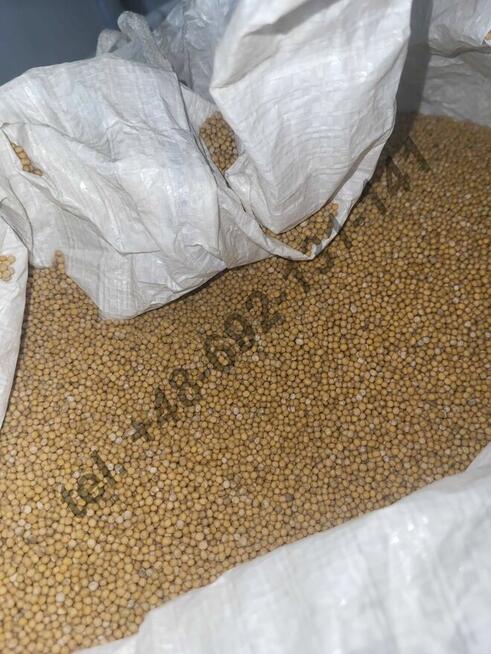 Gorczyca biała konsumpcyjna - hurt