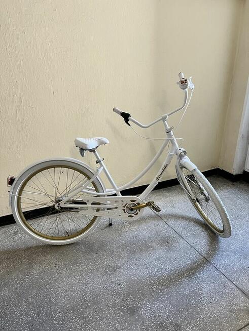 Rower Plumbike 28”