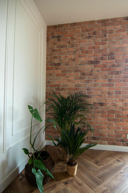 Płytki z cegły, lico cegły, stare cegły, elewacje