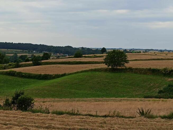 Sprzedam działkę rolno-budowlaną