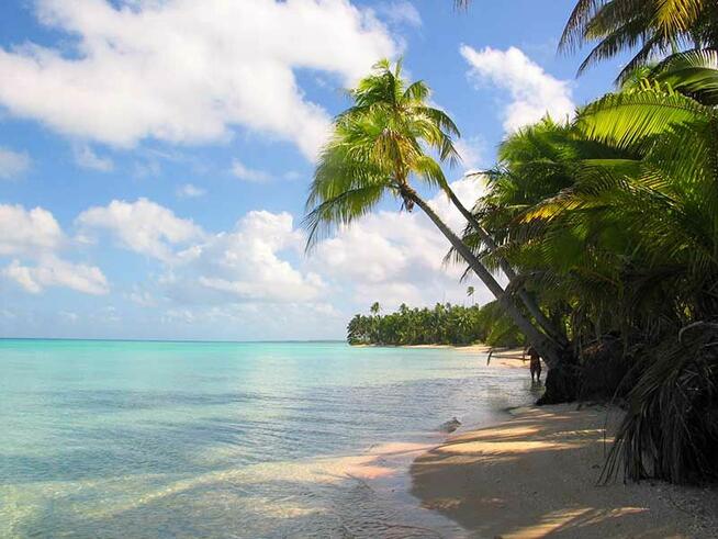 Prywatna wyspa Polinezja Francuska | Pacyfik