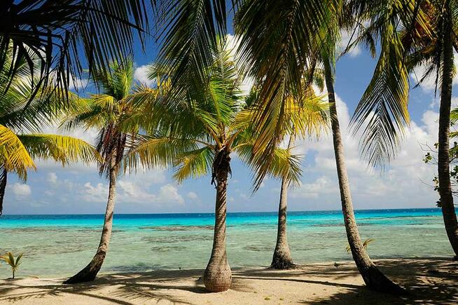 Prywatna wyspa Polinezja Francuska | Pacyfik