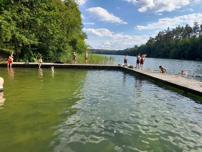 Działka rolno-budowlana koło Szczytna
