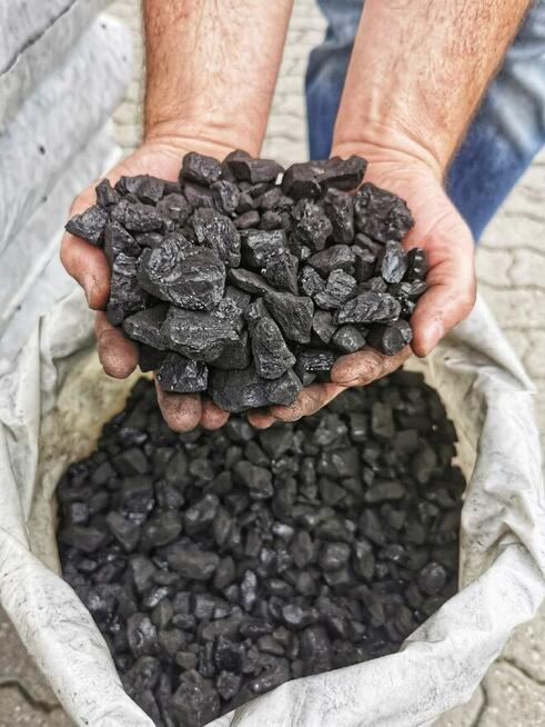 Pellet! Excellent Selection pelet dostawa/winda. Raty 0%