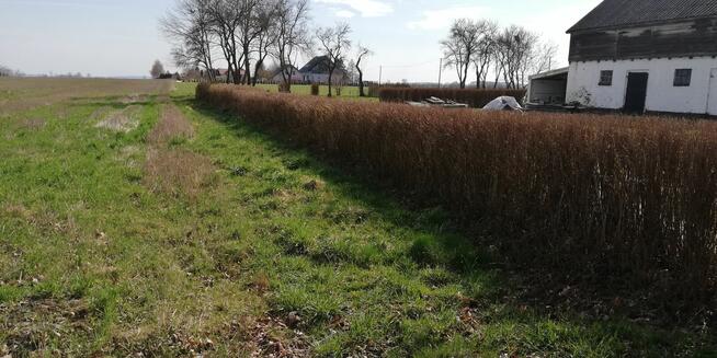 Działka budowlana 3200m2 z warunkami zabudowy Kołobrzeg