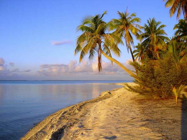 Prywatna wyspa Polinezja Francuska | Pacyfik