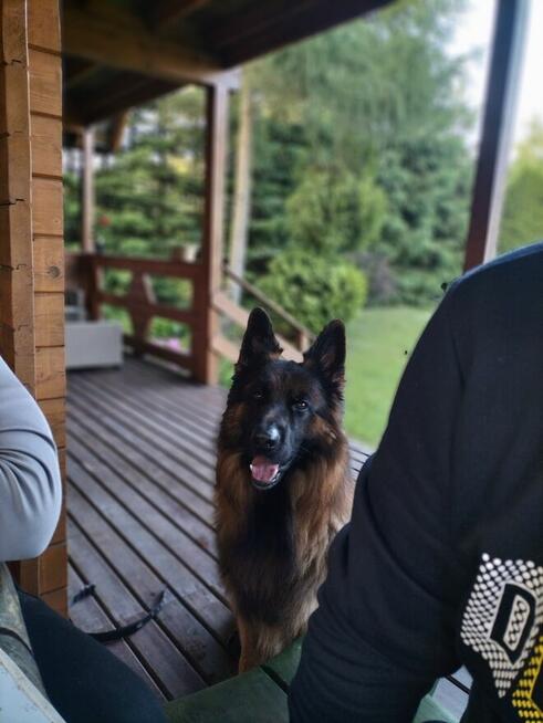 Wynajmę domek letniskowy