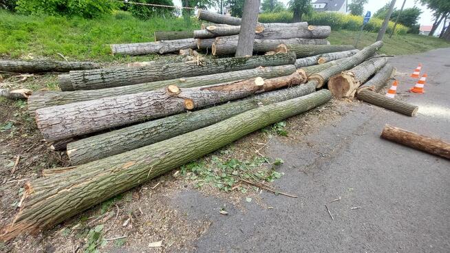 Wynajem podnośnika koszowego zwyżka wycinka drzew Przibylla