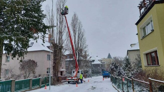 Wynajem podnośnika koszowego zwyżka wycinka drzew Przibylla