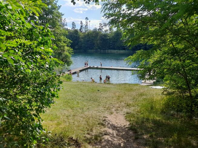 Działka rolno-budowlana koło Szczytna