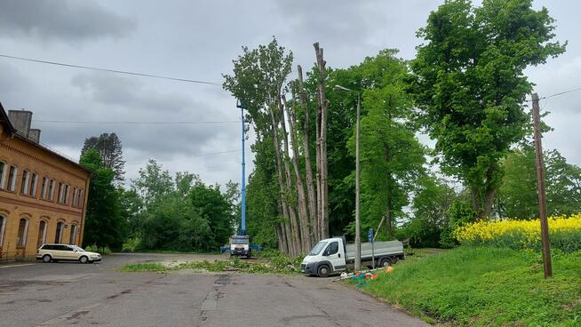 Wynajem podnośnika koszowego zwyżka wycinka drzew Przibylla