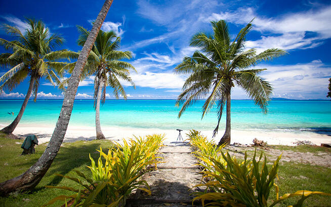 Prywatna Wyspa Katafanga Fidżi Pacyfik