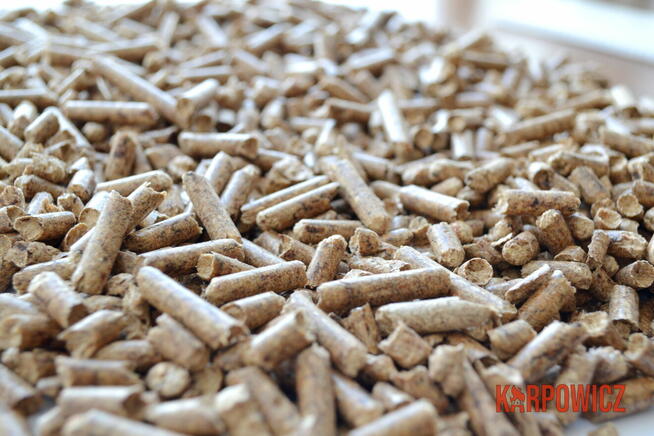 pellet Karpowicz