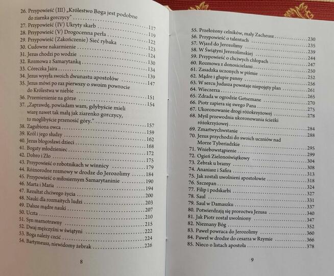 Biblia dla młodzieży Nita Abbestee