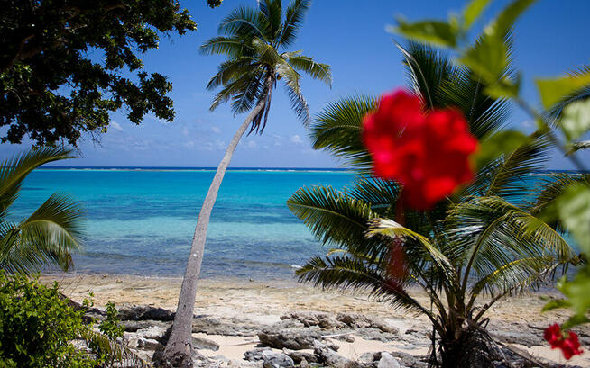 Prywatna Wyspa Katafanga Fidżi Pacyfik